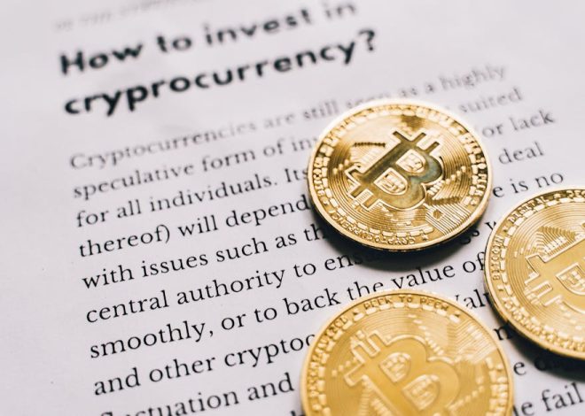 Conexões com investidores elevam o valor dos tokens
