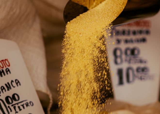 Brasil e Suriname fortalecem laços no setor agropecuário