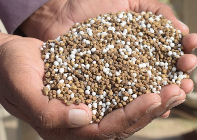 Fertilizantes chineses chegam ao mercado e prometem redução nos preços