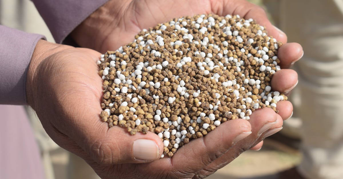 Fertilizantes chineses chegam ao mercado e prometem redução nos preços