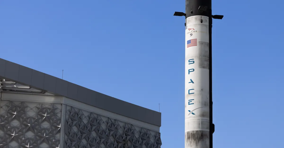 Musk antecipa a extinção do dinheiro em uma década devido à evolução da inteligência artificial