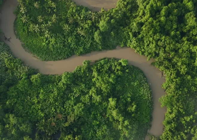 BTG lança ETF com investimento inicial acessível na Amazônia por apenas R$ 10