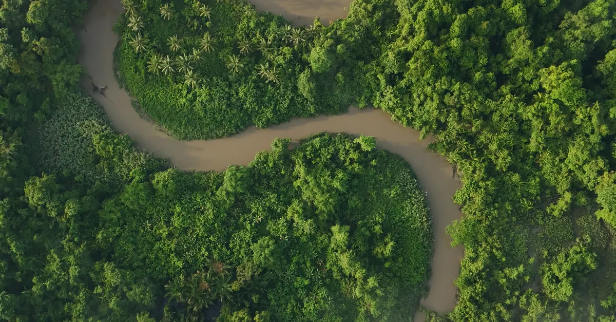 BTG lança ETF com investimento inicial acessível na Amazônia por apenas R$ 10