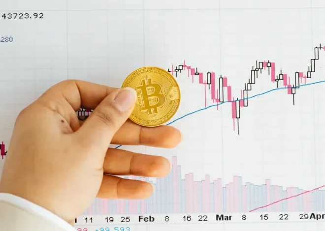 Brasil se destaca como líder no índice de adoção de criptomoedas segundo Chainalysis