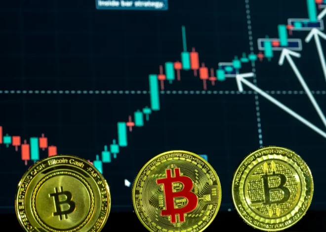Ammous responde a críticas e destaca informação de Mayall sobre o bitcoin