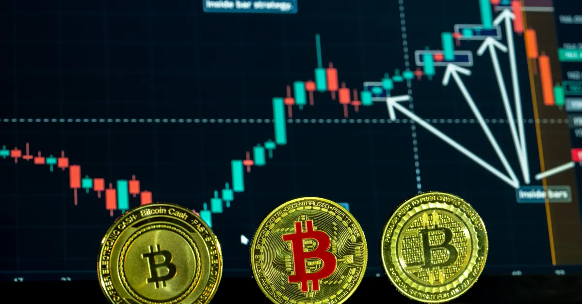 Ammous responde a críticas e destaca informação de Mayall sobre o bitcoin